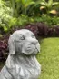 morepic-9